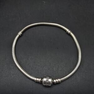 Pandora ALE Sterling Silver Charm Bracelet 8 Inch 925